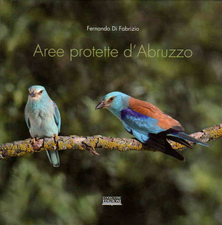 2011 - Aree protette d'Abruzzo